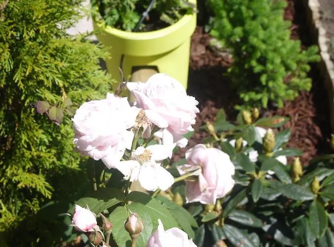 Champraz - Free Parking Chalet