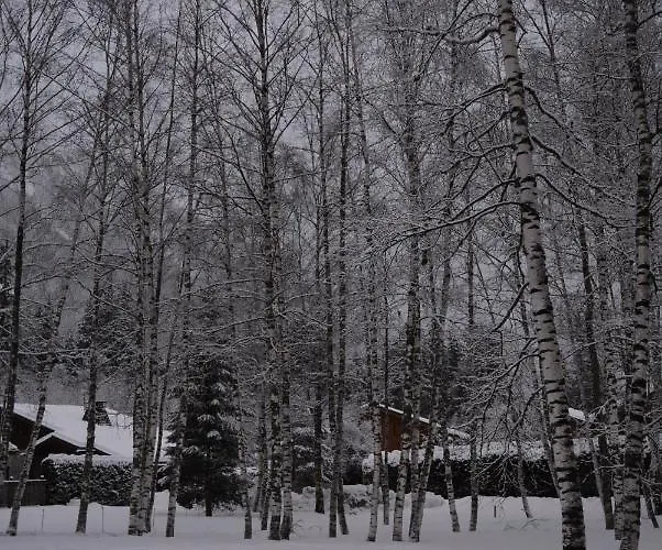 Champraz - Free Parking Chalet